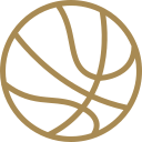 basketball ball variant
