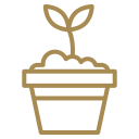 plant pot
